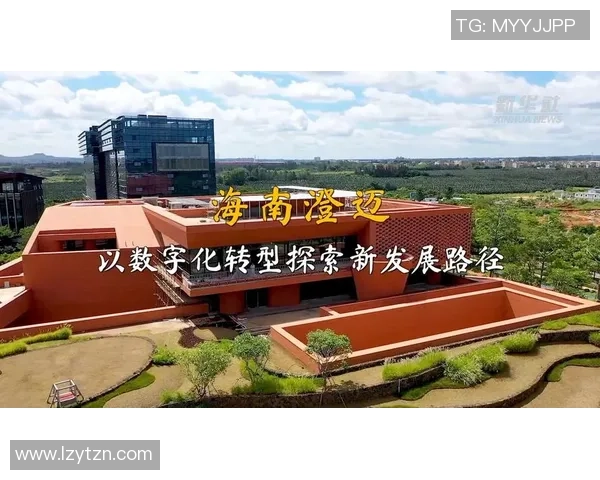 北京排球队的控制革新探索与发展路径分析全景报告